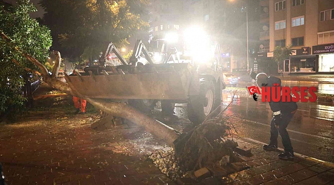 Büyükşehir'den fırtınada zarar gören bölgelere müdahale