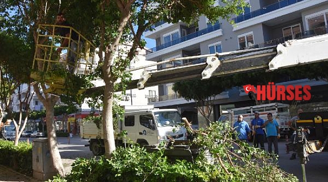 Demre'de kış hazırlığı