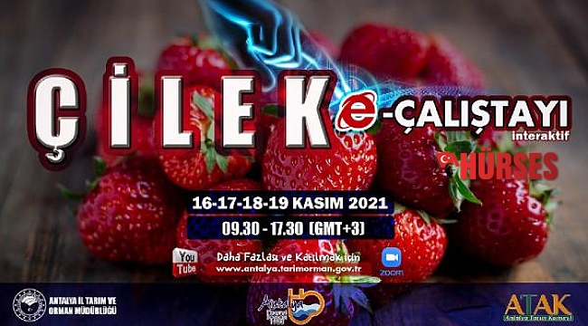 Fideden sofraya çilek konuşulacak