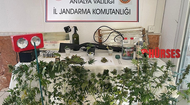 Kemer'de uyuşturucu operasyonu