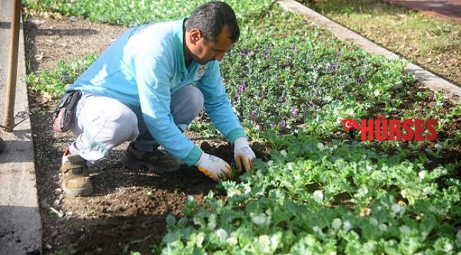 Alanya caddeleri çiçekle donatıldı