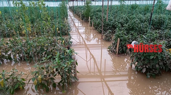 Antalya'da dere taştı, biber serası sular içinde kaldı
