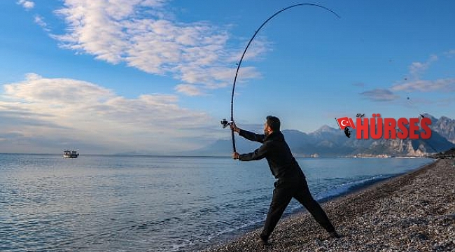 Balıkçılar, istilacı tür balon balığını yakalamak için yarıştı