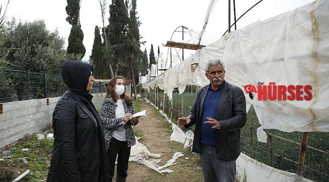 Büyükşehir, üreticinin hasar tespitini yapıyor