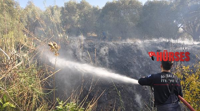 Gazipaşa'da çalılık yangını