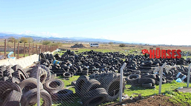 Kent genelinde vektörel mücadele