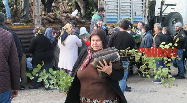 Manavgat Orman İşletme 20 binin üzerinde fidan dağıttı