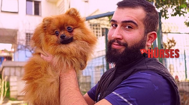 Profesyonel köpek eğitmeninden 10 adımda köpek eğitimi