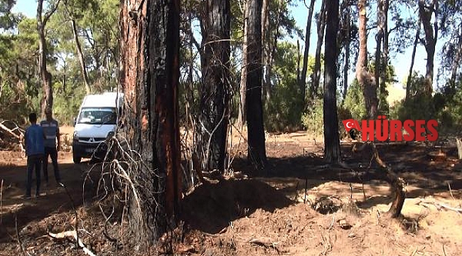 Sorgun ormanında 3 yeri ateşe veren sanık: Isınmak için ateş yaktım