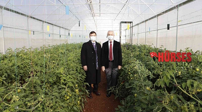 Ürüne özgü sera plastiği çalışmalarında ilk hasat heyecanı