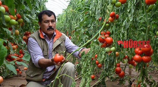 Yağmur sonrası taşkın ekili alanlara zarar verdi