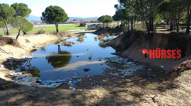 Antalya'da kum hırsızları çevre katliamına sebep oluyor