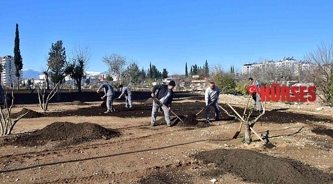Ay Deresi'nde çevre düzenleme çalışması