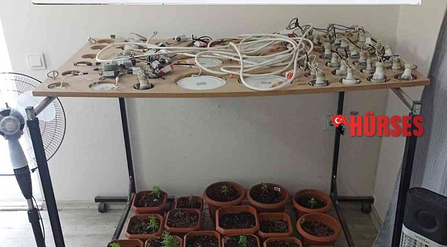 Evinde uyuşturucu madde yetiştirip satan şahsa operasyon