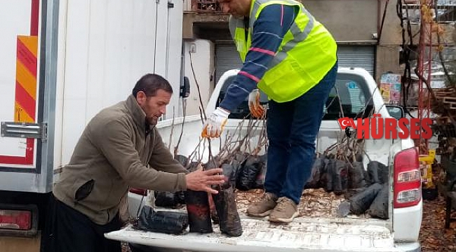Gündoğmuş'a ceviz fidanı ve hamur makinesi yardımı