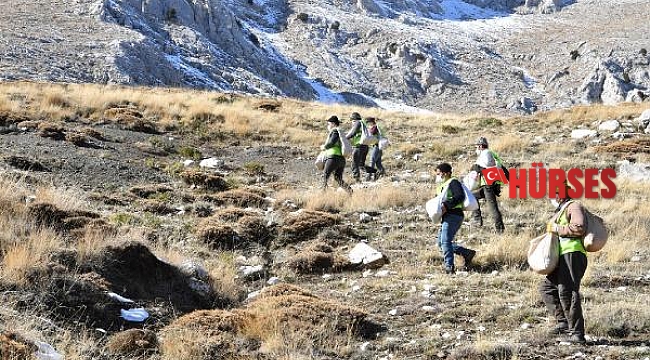Hayvanlar için 1200 dekara gübre