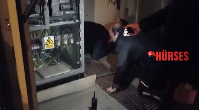 Trafoya giren kedi, itfaiye tarafından çıkartıldı