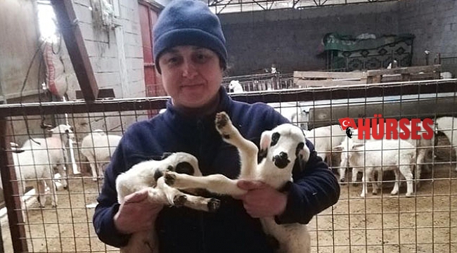 Antalya, Türkiye&#039;de 2. sırada