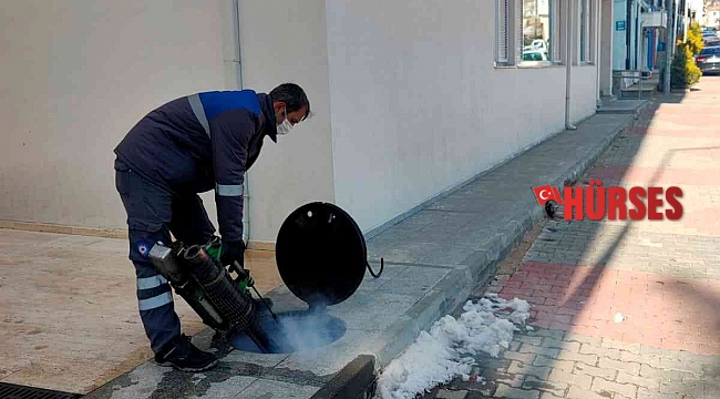 Büyükşehirden 19 ilçede, 1312 personel ile sinekle mücadele