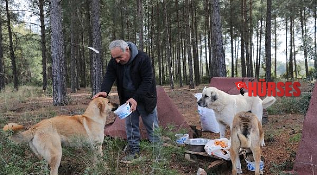 Can dostlar soğuk havalarda unutulmadı