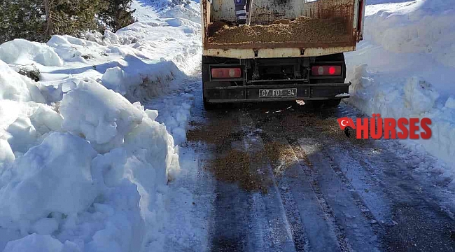 Gelesandra yolunda tuzlama çalışması