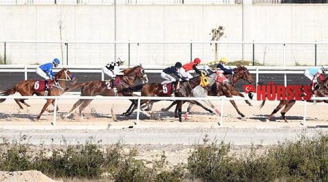 Hipodromda, Antalya İl Jandarma Komutanlığı Koşusu