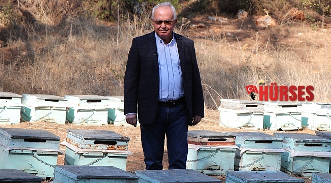 İklim krizi arıları da vurdu