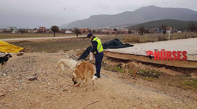 Kokuteli&#039;de jandarmadan anlamlı davranış
