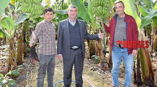 Kumluca'da muzun fiyatı 8 lira