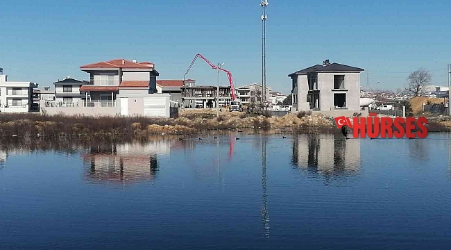 Yağmurla oluşan gölcükler göçmen kuşları sevindirdi