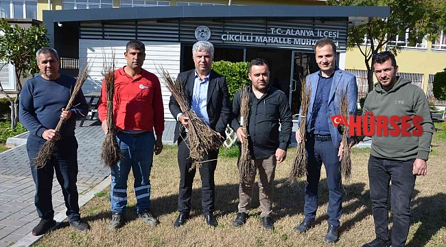 Alanya'da 140 bin meyve fidanı dağıtıldı