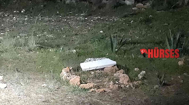 Antalya'da ormanlık alan içindeki mezar polisi alarma geçirdi