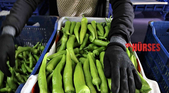 ATB'den şubat ayı sebze ve meyve endeksi açıklaması