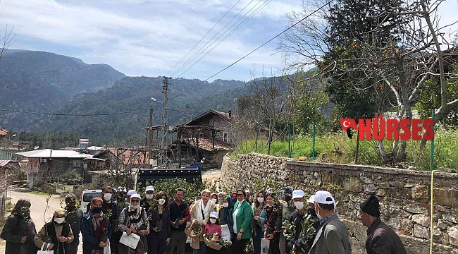 Büyükşehir Akseki'de defne fidanı dağıtıp defne sabunu yapımını anlattı