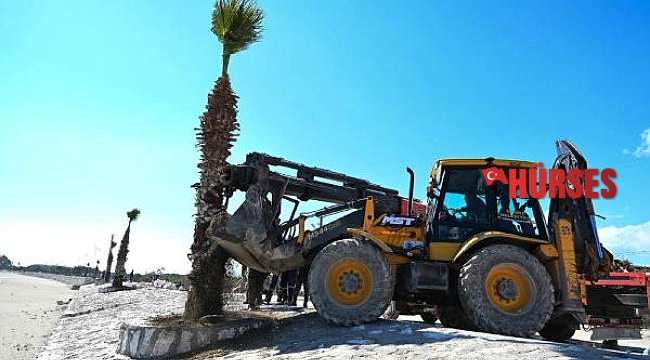 Demre sahili palmiye ağaçları ile yeşerecek