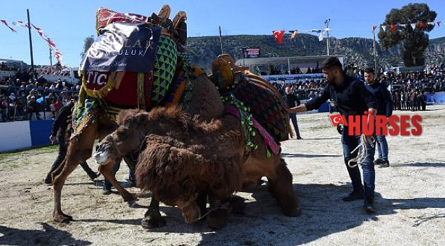 Develer, cami yaptırma yararına güreşti