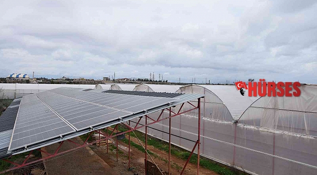 Hibe desteğiyle sera kurdu, ürettiği elektriğin fazlasını satmaya başladı