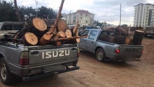 Kaçak ağaç kesimi yapan bir kişi yakalandı