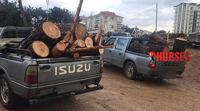 Kaçak ağaç kesimi yapan bir kişi yakalandı