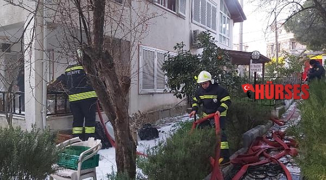 Kedilerin devirdiği elektrikli soba yangın çıkardı, yaşlı kadın ölümden döndü