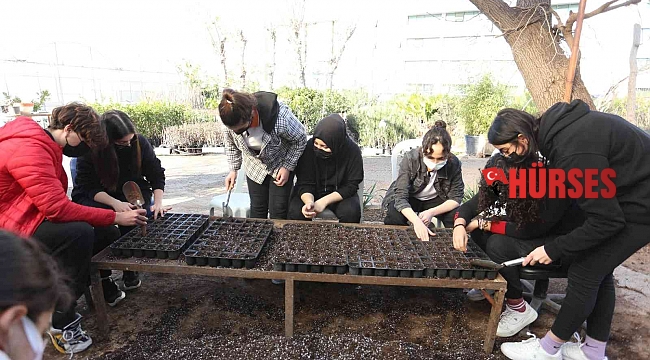 Kepez'de Ata tohumları fidana dönüşüyor