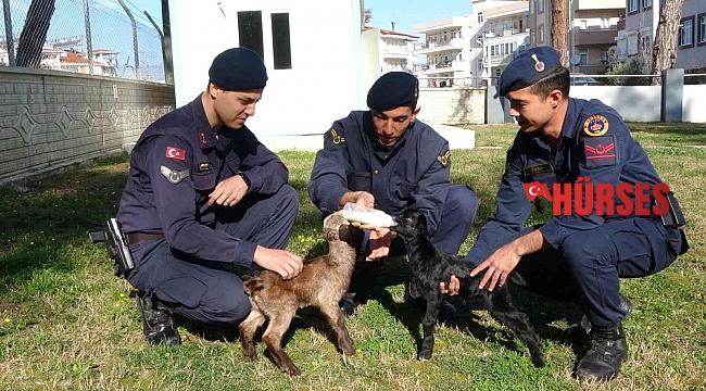 Oğlakları jandarma biberonla besliyor