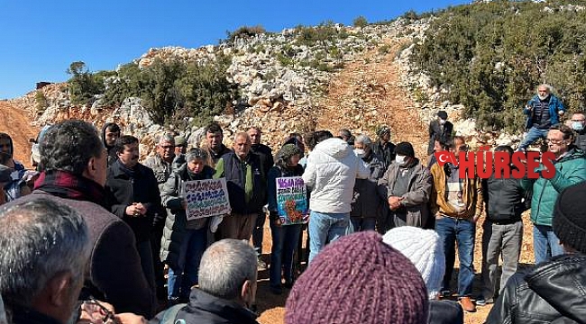 Ormanlık alandaki villa inşaatlarına tepki