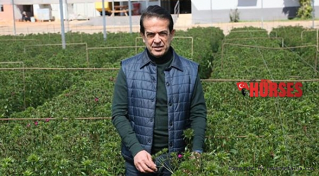 Savaşın Antalya tarımına faturası 233 milyon dolar