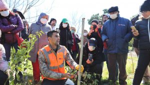 Üreticiye uygulamalı ağaç budama ve aşılama eğitimi