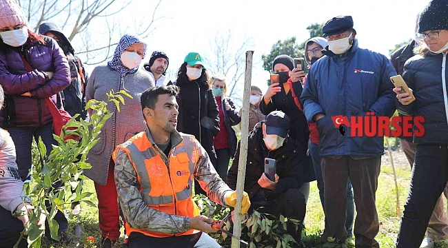 Üreticiye uygulamalı ağaç budama ve aşılama eğitimi