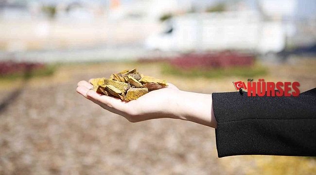 Akdeniz Belediyecilik Proje Yarışması'nda Büyükşehir'e çevre ödülü