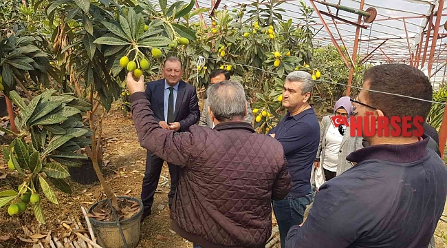 Alanya yenidünyasında ilk kez örtü altı hasat heyecanı yaşandı