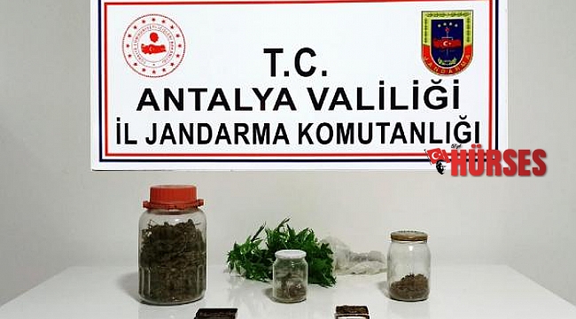 Alanya'da uyuşturucu operasyonu