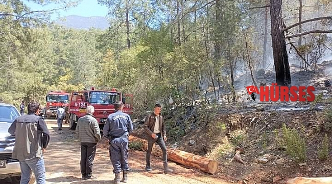 Antalya'da orman yangını büyümeden söndürüldü